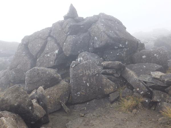 shark fin bivvy